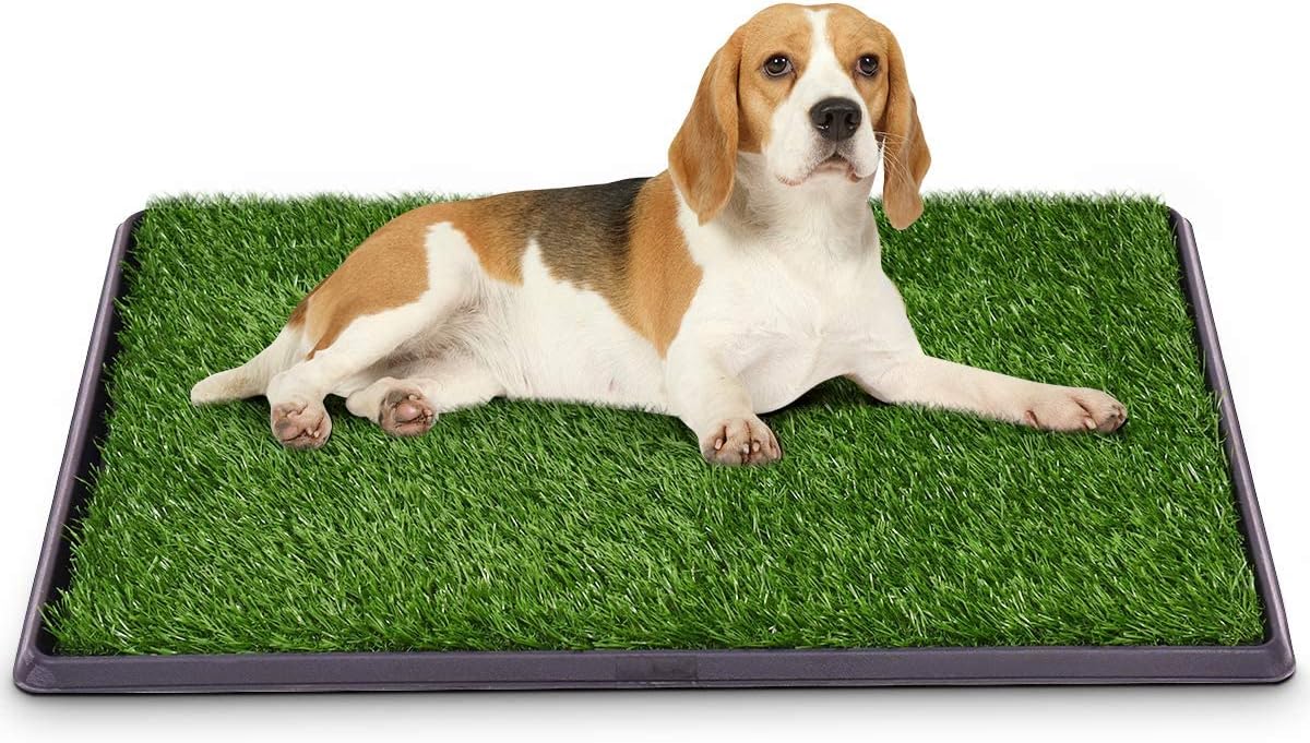 Hundetoilette Indoor Mit Wandstütze - Welpen Trainingsklo Mesh Design