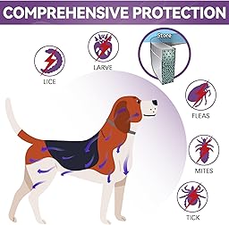 Collier Anti Puces pour Chien, Réglable Et Étanche Collier Antiparasitaire Chien 12 Mois, Naturel Imperméable Élimine Puces, Tiques, Poux (2 pièce)