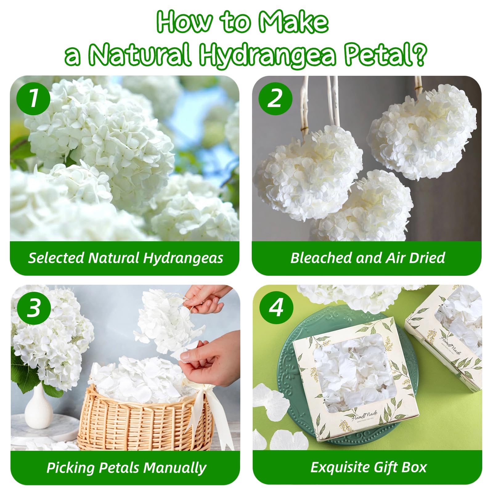 Más de 2500 pétalos de hortensia blancos secos reales de Lvory – 1.7 onzas preservadas de flores naturales para decoración de bodas, confeti de fiesta, centros de mesa de cena, manualidades