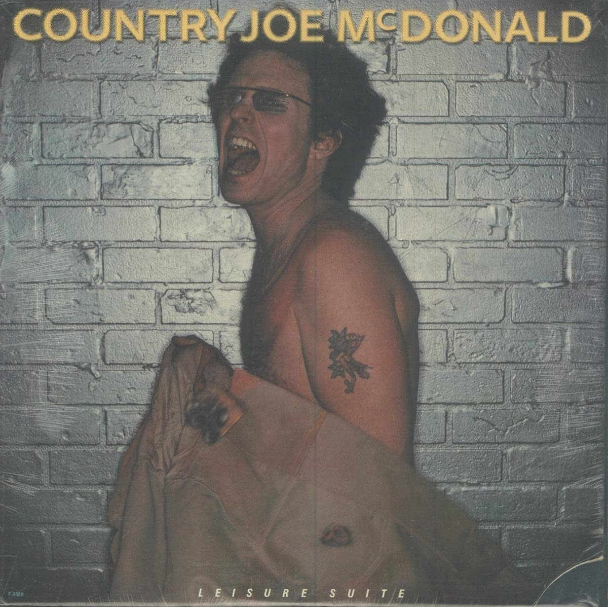 Leisure Suite por Country Joe Mcdonald — capa do álbum
