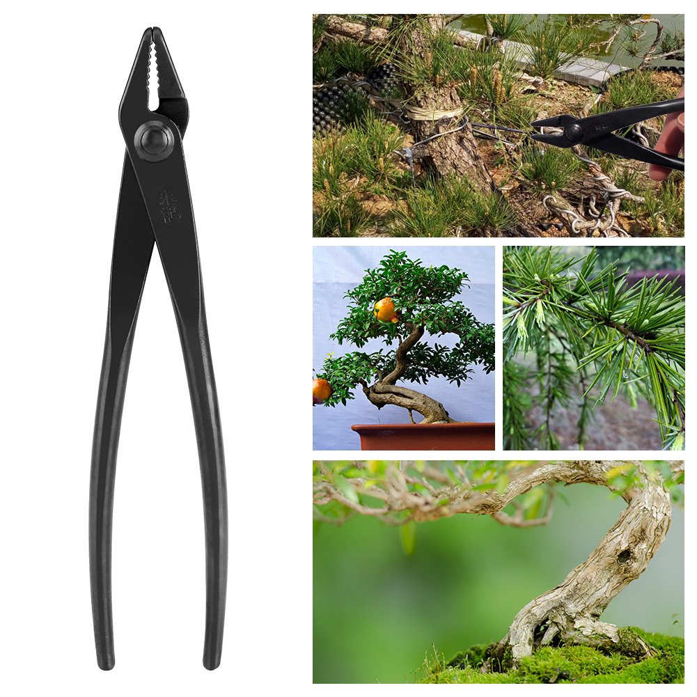 Garsent Bonsai Zange, dauerhaft Bonsaiwerkzeug Drahtzange für Garten Bonsai Äste Schneiden