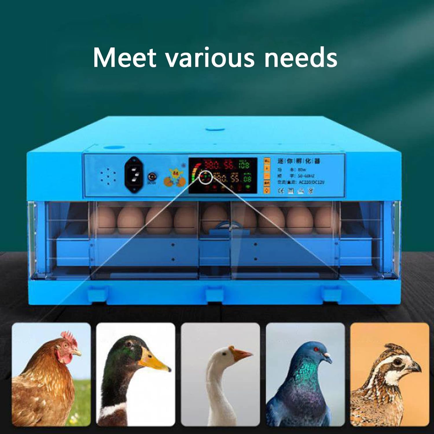 Incubadora automática de huevos, 64 huevos de gallina fértiles, control de temperatura y humedad, giro automático, recarga de agua, perfecta para incubar patos, codornices