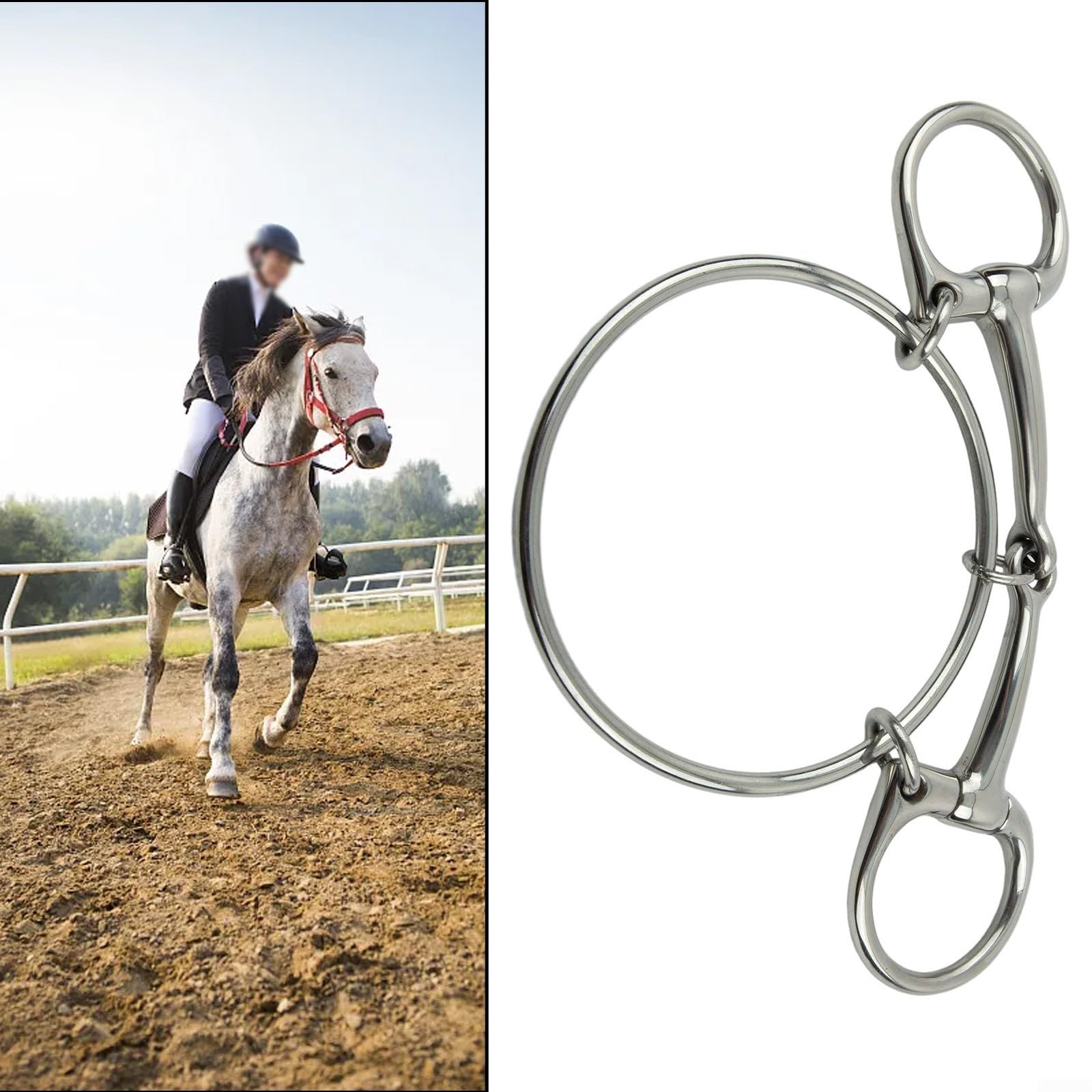 Anillo de para acero Inoxidable para Caballo 12.5cm Anillo de