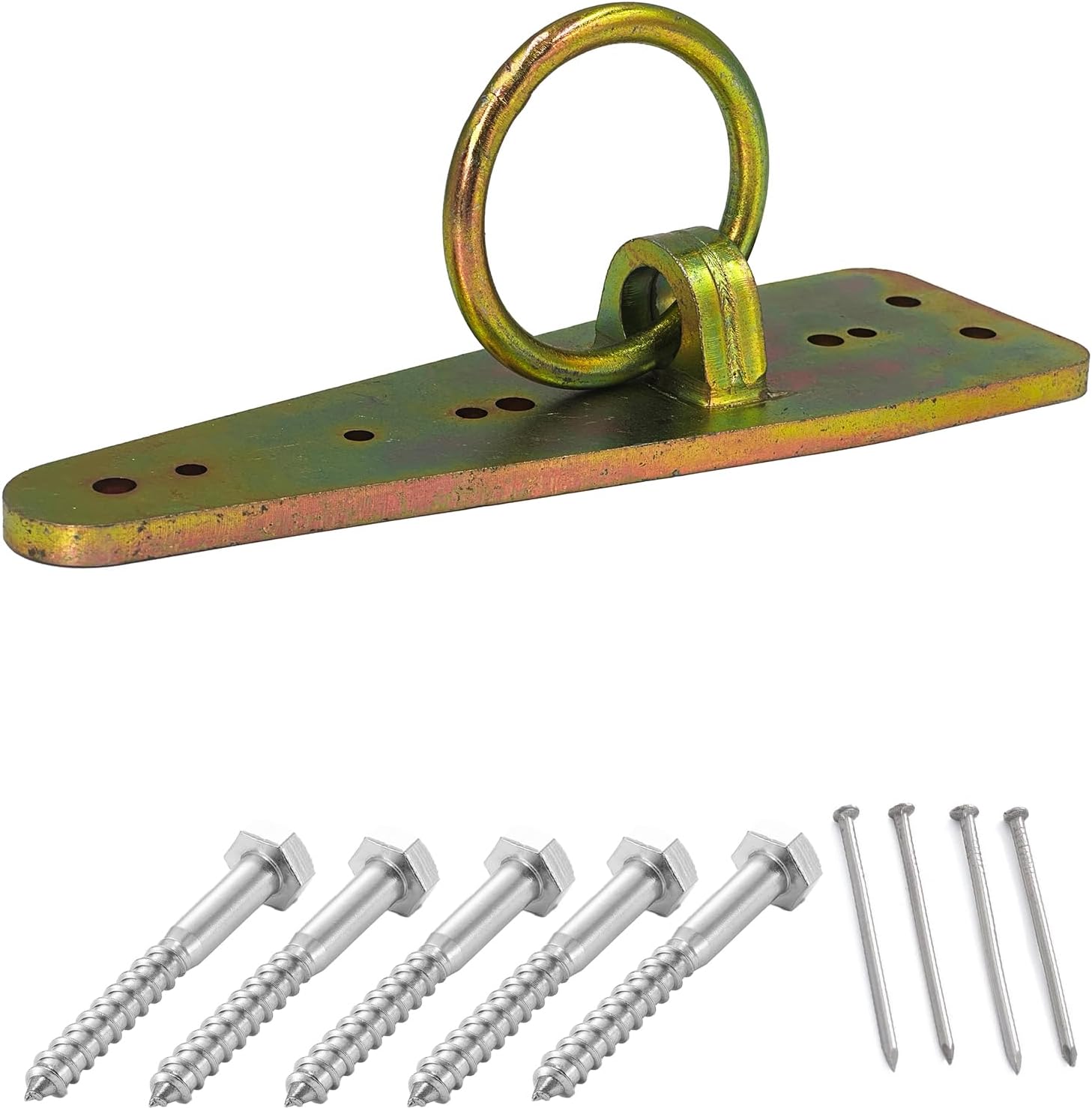 Bull Ring Reusable Roof Anchor