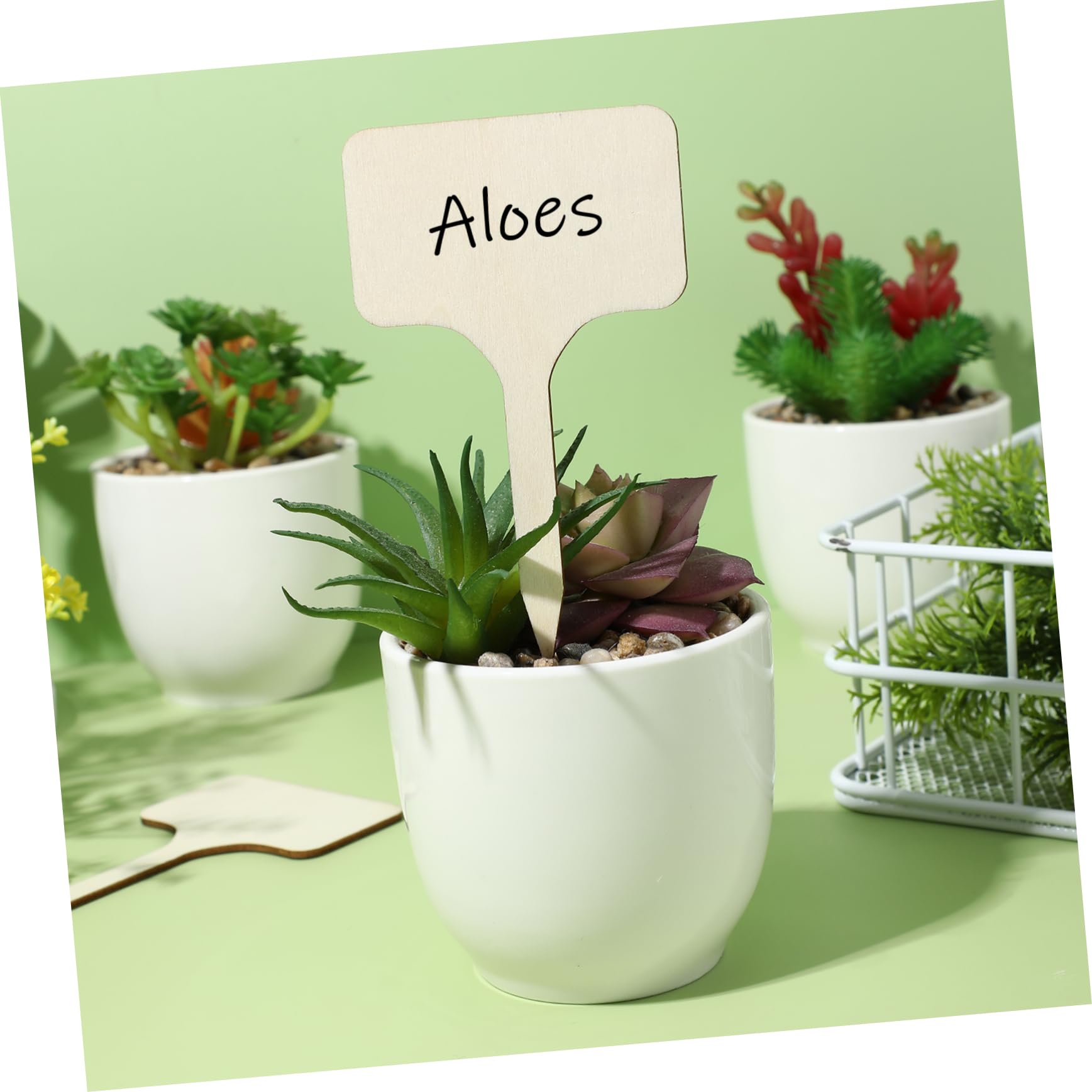 POPETPOP 250pièces Étiquettes De Plantes Marqueurs De Jardin Pour Semences Et Fleurs Lot De Étiquettes Réutilisables Pour Identifier Vos Plantes Et Votre Espace