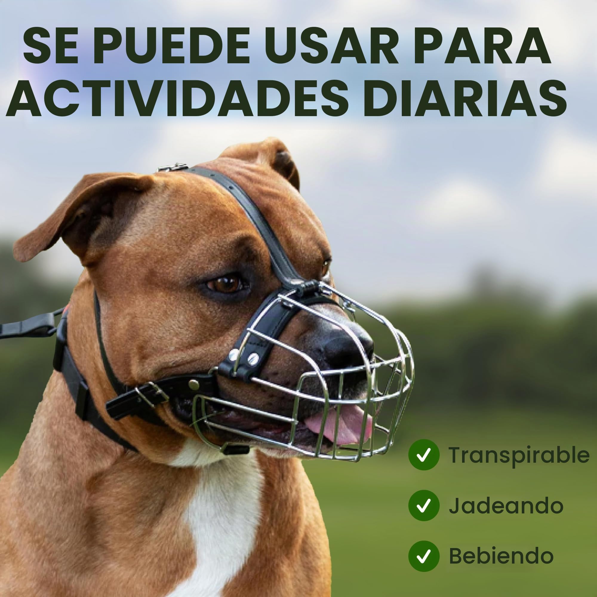 BronzeDog Bozal de Perro Pitbull máscara de Metal Amstaff Cesta de Alambre Pit Bull Correas de Cuero Ajustables para Perros Grandes