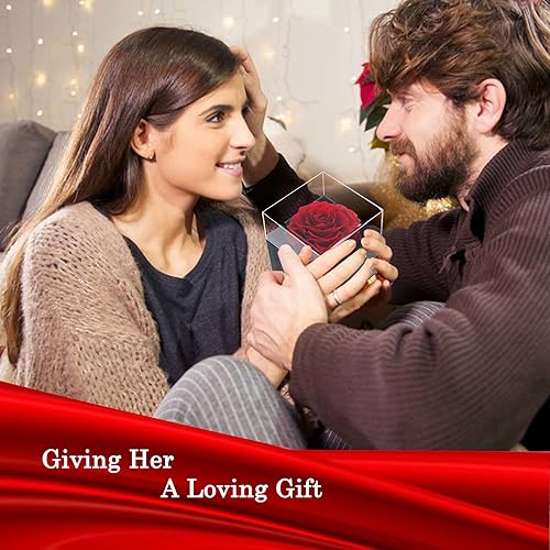 Miniatura 5 de Lafloraita Rosa real roja preservada con collar de corazón de cristal, regalos románticos, cajas de joyería con collar