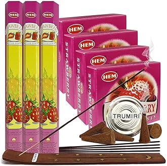 Strawberry Incense Sticks and Cone Incense Holder Variety Pack Bundle insence insense insienso
