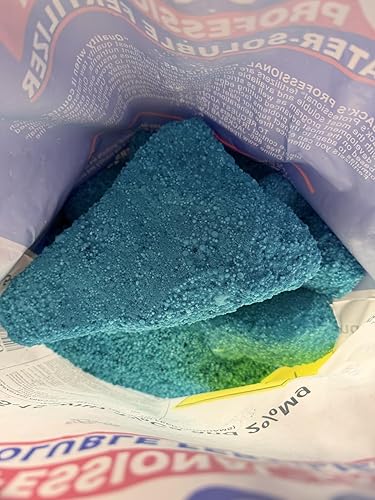 ubuy Belize