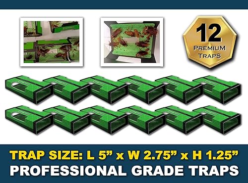 Miniatura 3 de MaxGuard Trampas para cucarachas + arañas (12 trampas de caja) | Trampas de caja extra adhesivas no tóxicas | Atrapa y mata cucarachas alemanas,