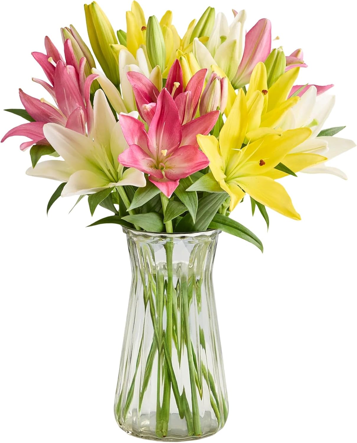 1800 Flowers – Sweet Spring Lilies Single Bouquet (Clear Vase Included) | Fresh Cut Spring Flowers for Delivery | Gift for Mother's Day, Anniversary, Sympathy, and Special Occasions