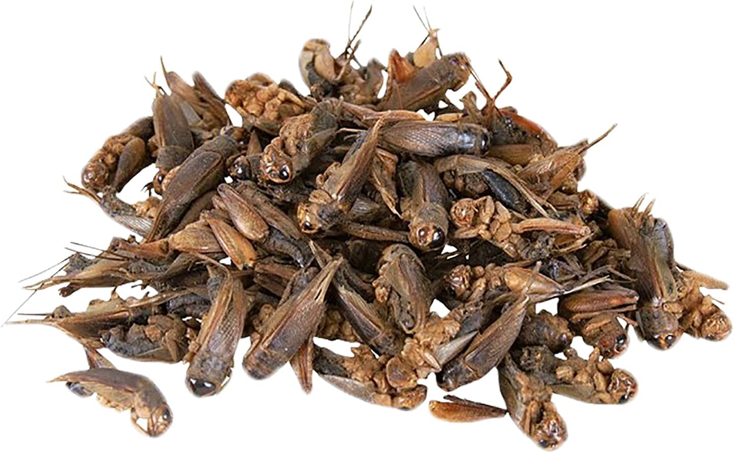 Dried Crickets (2.2 lb.) - High Protein Insect Treat - Chickens, Wild Birds, Hedgehogs, Bluebirds, Reptiles, Sugar Gliders, Opossums, Skunks, Lizards, Bearded Dragons, Fish, Amphibians, Turtles