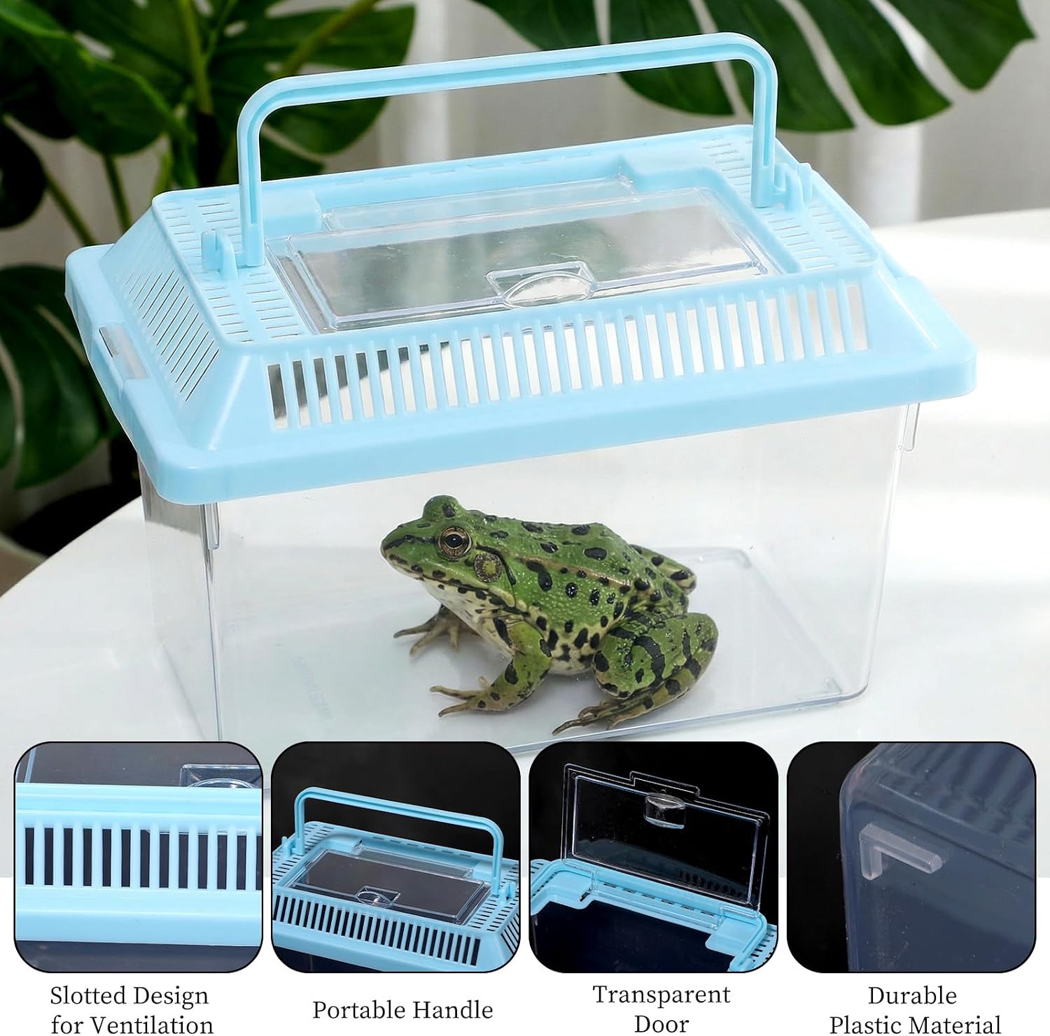 12 PCS 7"×4.3"x4.3" Large Plastic Reptile Terrariums Carrier Cage Snake Breeding Box Hatching Container Clear Fish Tank with Ventilated Lid for Spider, Tarantula, Hermit Crab, Lizard, Turtle