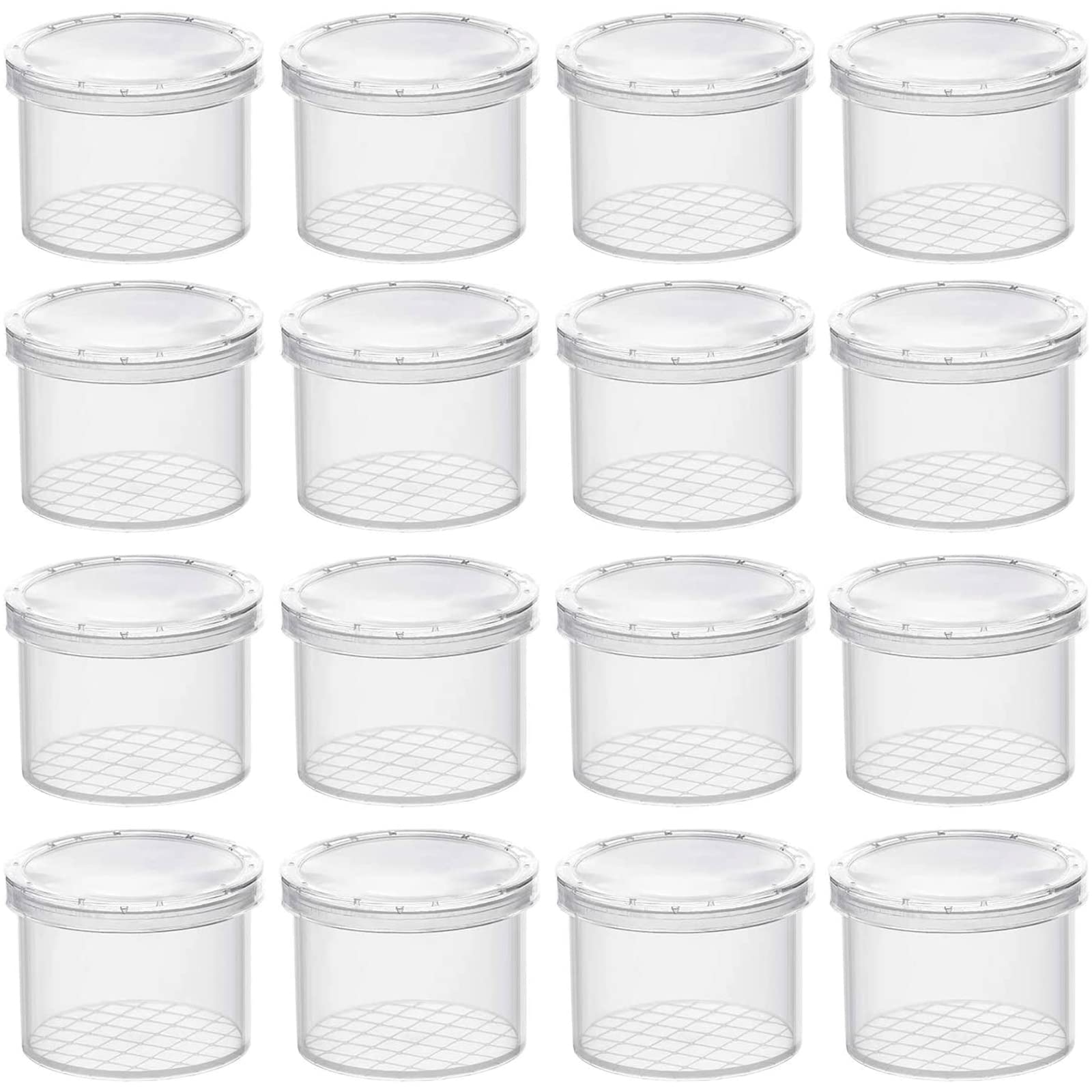 AOTOPYU 16 x Transparent Insect Observatory Box for Science/Exploration Nature and Insect Collection for Adults and Children, Class Activities