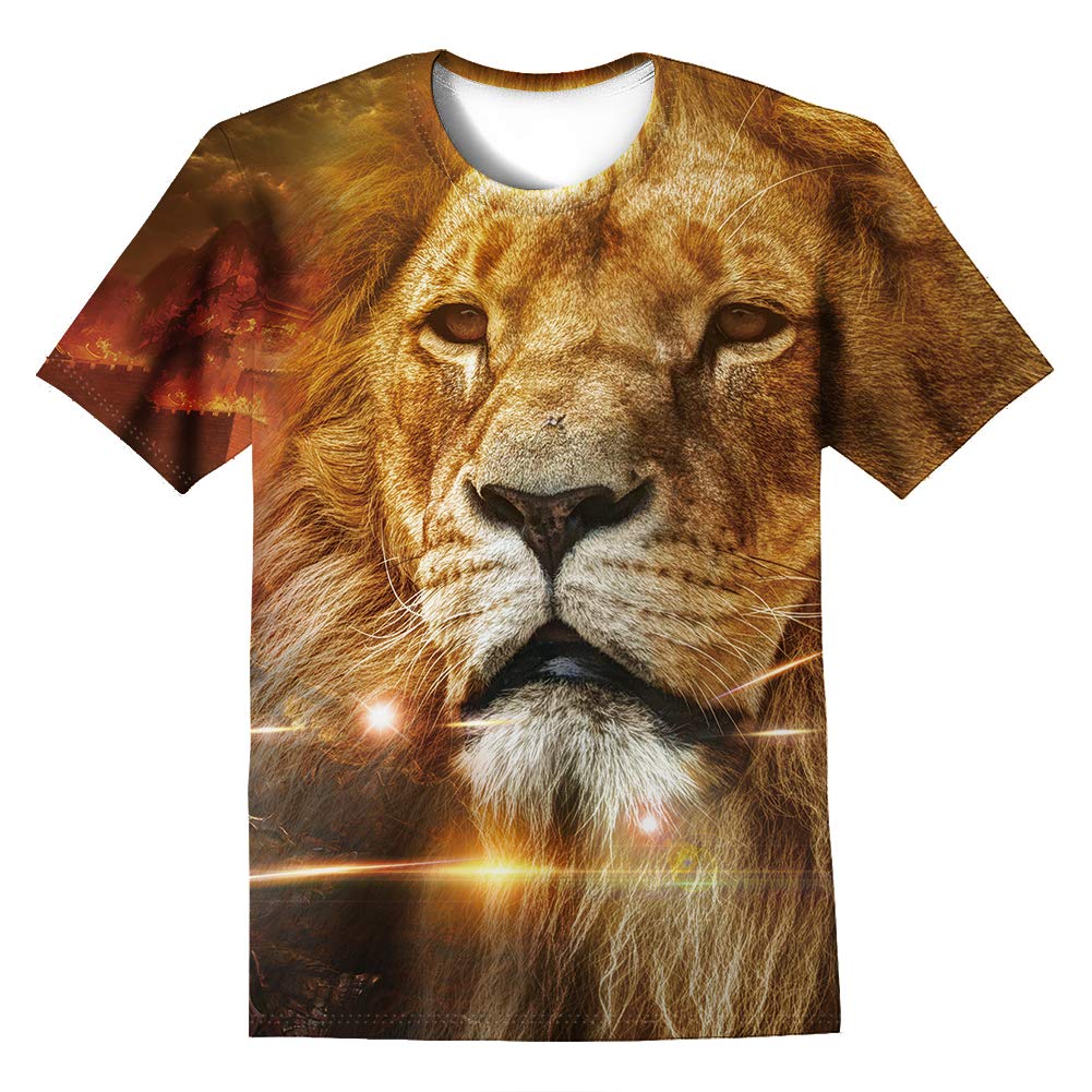 LAIDIPASBoys Girls 3D Graphic Shirts Cool Crewneck T-Shirt Unisex Short Sleeve Top Tees 6-16 Years