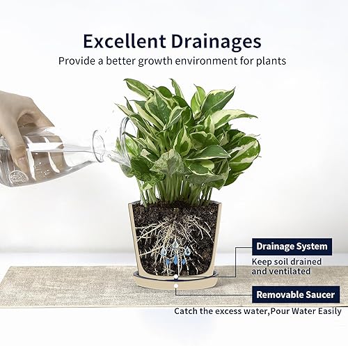 Miniatura 6 de Selamica Macetas de cerámica para suculentas, macetas pequeñas de 3.4 pulgadas para plantas con agujeros de drenaje y platillos, macetas suculentas