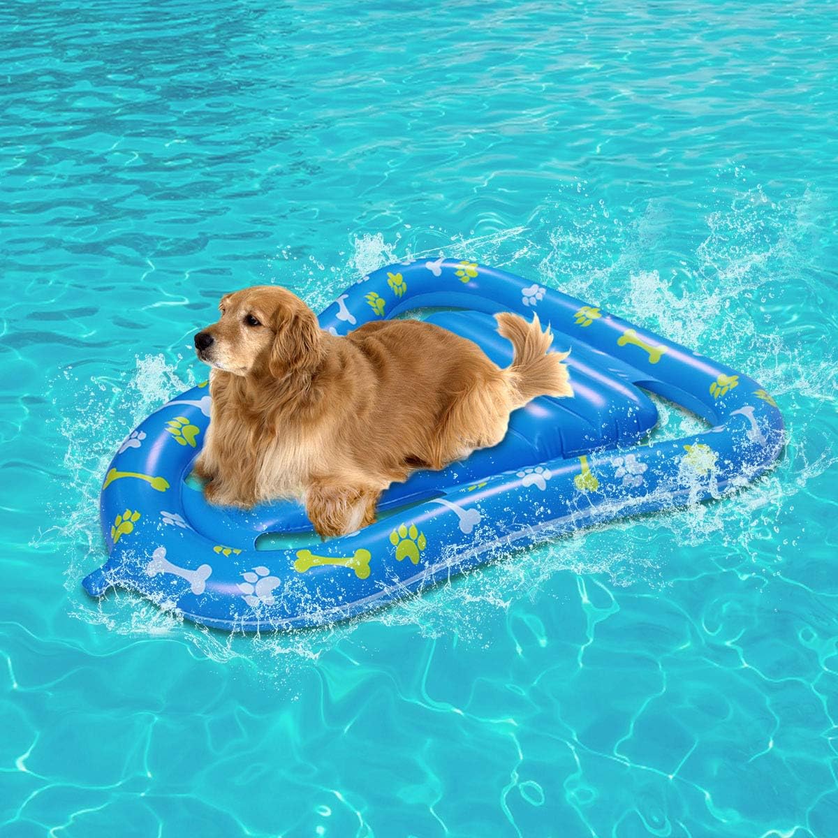 dog pool toys
