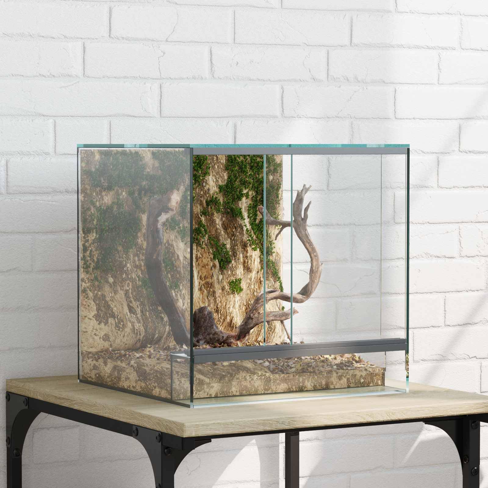 Hábitats para reptiles y anfibios 30 x 30 x 30 cm Cristal,Producto para mascotas y animales,Productos para mascotas,Productos para reptiles y anfibios,Terrarios para reptiles y anfibios-42020387