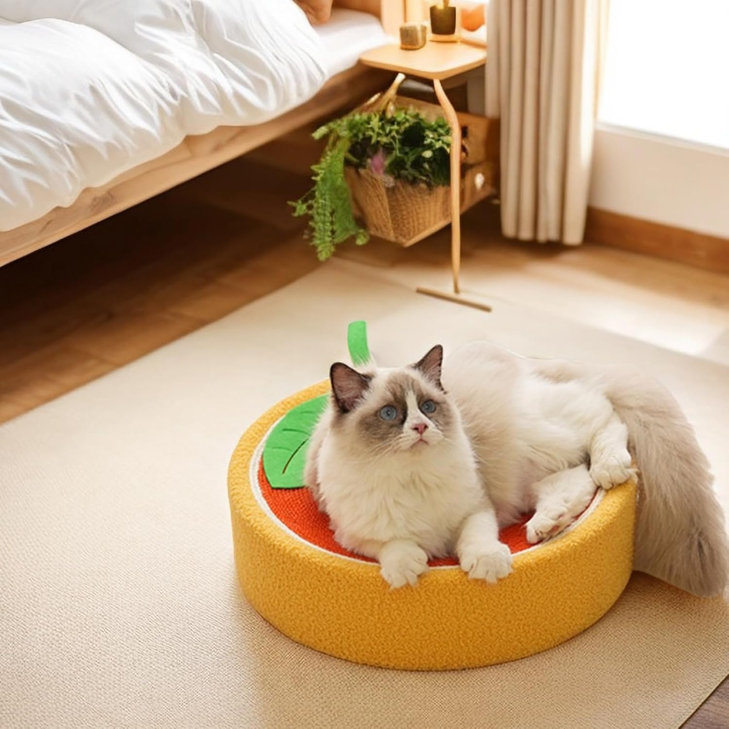 review Fruit Cat Scratcher, Cat Fruit Scratcher, Fruit Shaped Cat Scratcher, Wear-Resistant Sisal Cat Supplies,to Meet The Cat's Nature of Grinding and Scratching.Round cat Scratcher (Orange) (D)