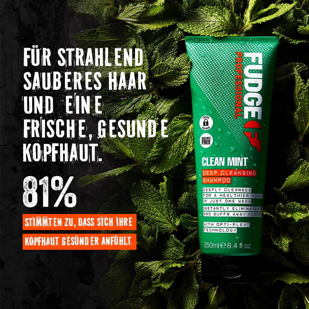 Fudge Clean Mint Shampoo