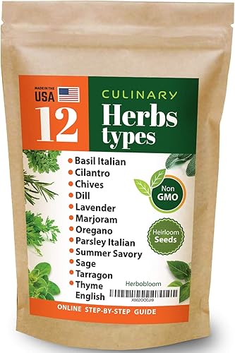 Juego de 12 semillas de hierbas culinarias de reliquia, 3800 semillas para plantar en interiores y exteriores, albahaca, cilantro, cebollino,