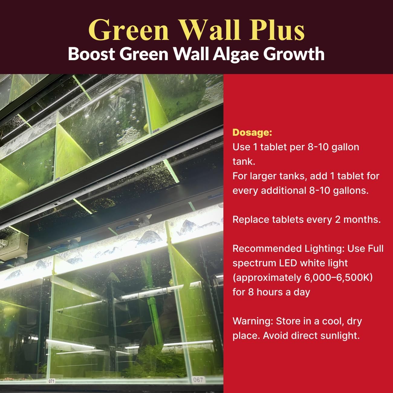 Green Wall Plus - Professional Algae Wall Growth Enhancer for Shrimp Tanks - 15 Tablets - Promotes Algae, Boosts Baby Shrimp Survival, Improves Water Quality - Used by Award-Winning Taiwan Breeders