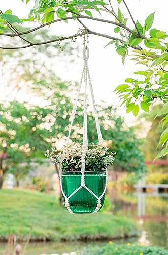 Miniatura 8 de Melphoe 1 paquete de macetas colgantes de riego automático para interiores, cesta colgante de 8.3 pulgadas para exteriores, con colgador adicional