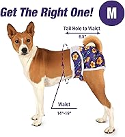 Vista 57 de Pet Soft Washable Female Diapers (3 Pack) Female Dog Diapers, Comfort Reusable Doggy Diaper for Girl Dog in Period Heat (Sprightly, XS)