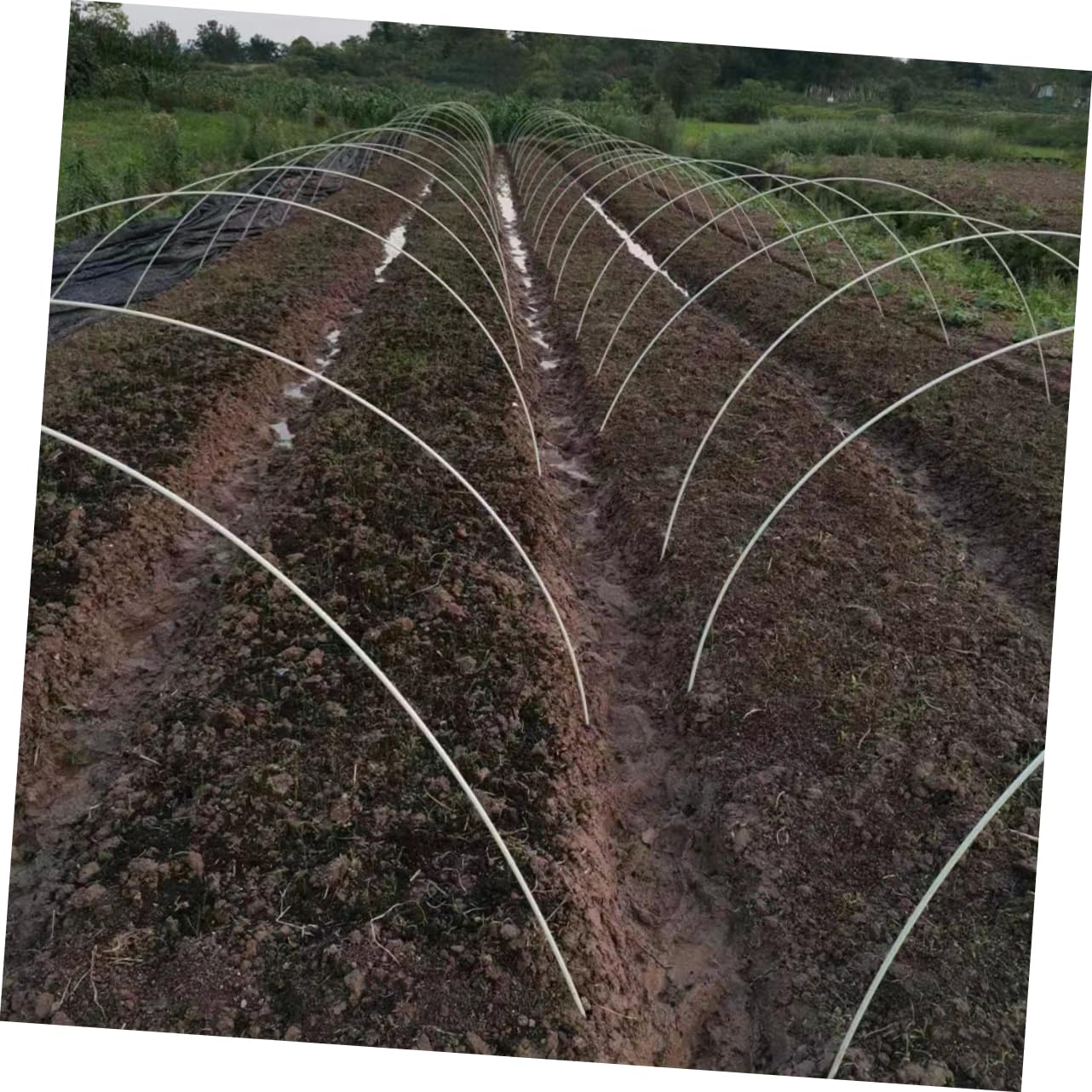 UPKOCH Tunnel pour Salade en Polyéthylène et Fibre de Verre, 1 Set Léger, Protection Le Gel, Crée Un Microclimat pour Jardin et Serrage