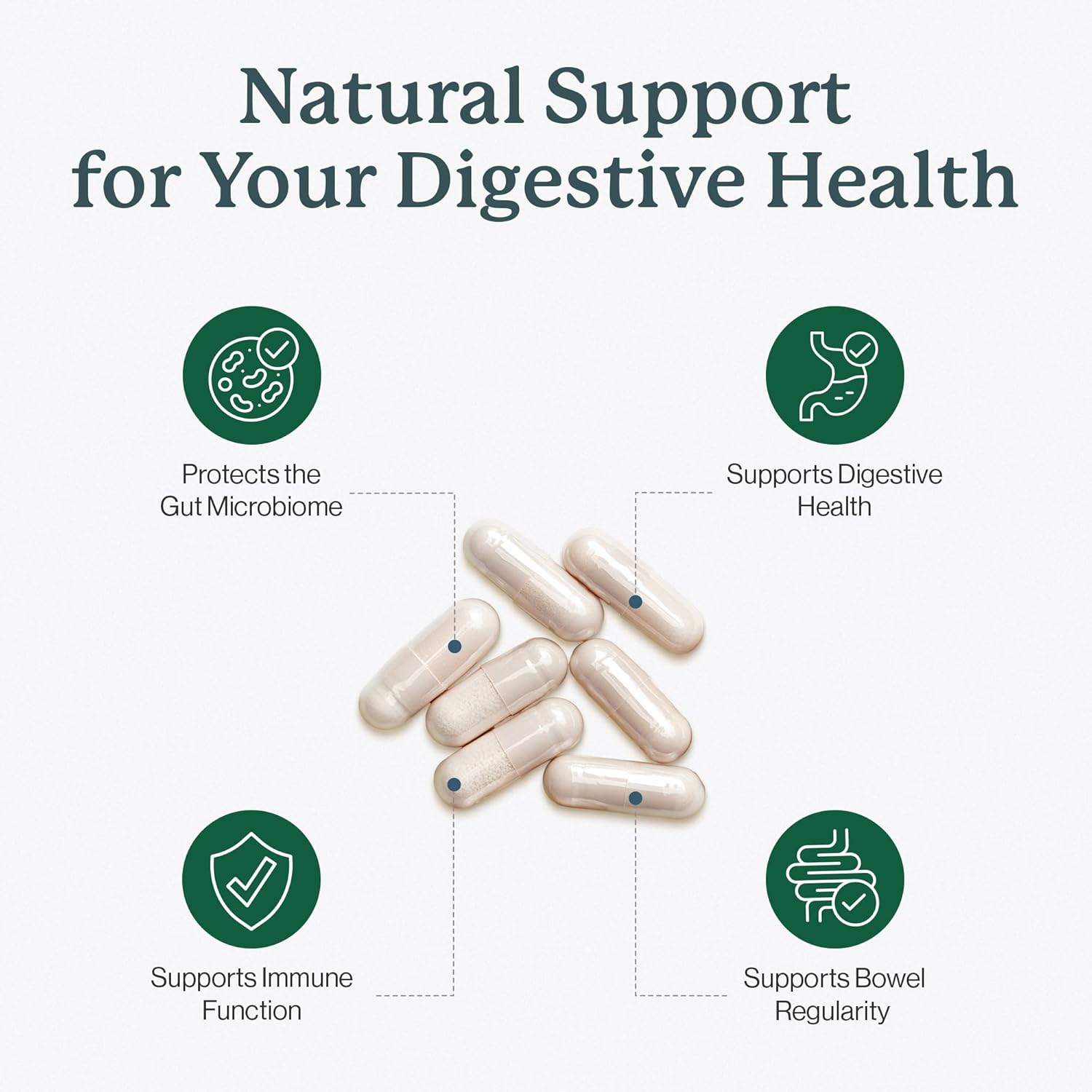 Dr. Fuhrman Prebiotic and Probiotic for Women & Men | Flora Biotect Natural Support for Digestive Health & Gut Biome | Provides Bloating Relief & Bowel Regularity | 20 Billion Live Strains | 60 Caps