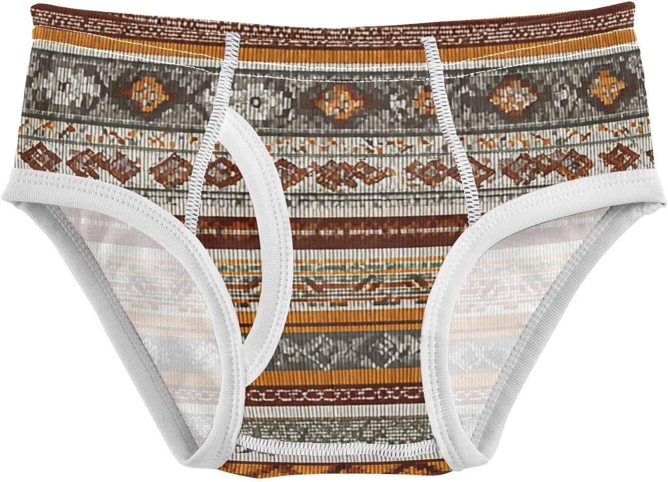 visesunny Boys Training Underwear Traditional Inca Stripes Breathe Cotton Potty Briefs Size 2T-8Y for Toddler
