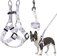 Vista 61 de BEAUTYZOO No Pull Dog Harness and Leash Set - Adjustable Step-in Puppy Harness for Small Medium Large Dogs, Escape Proof Soft Nylon Vest with Double