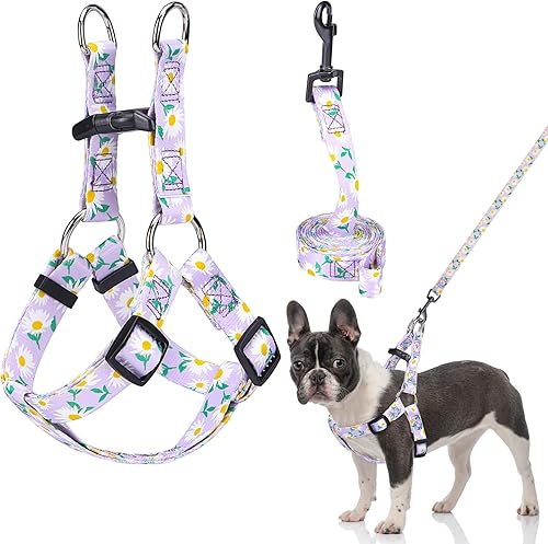 Miniatura 61 de BEAUTYZOO No Pull Dog Harness and Leash Set - Adjustable Step-in Puppy Harness for Small Medium Large Dogs, Escape Proof Soft Nylon Vest with Double
