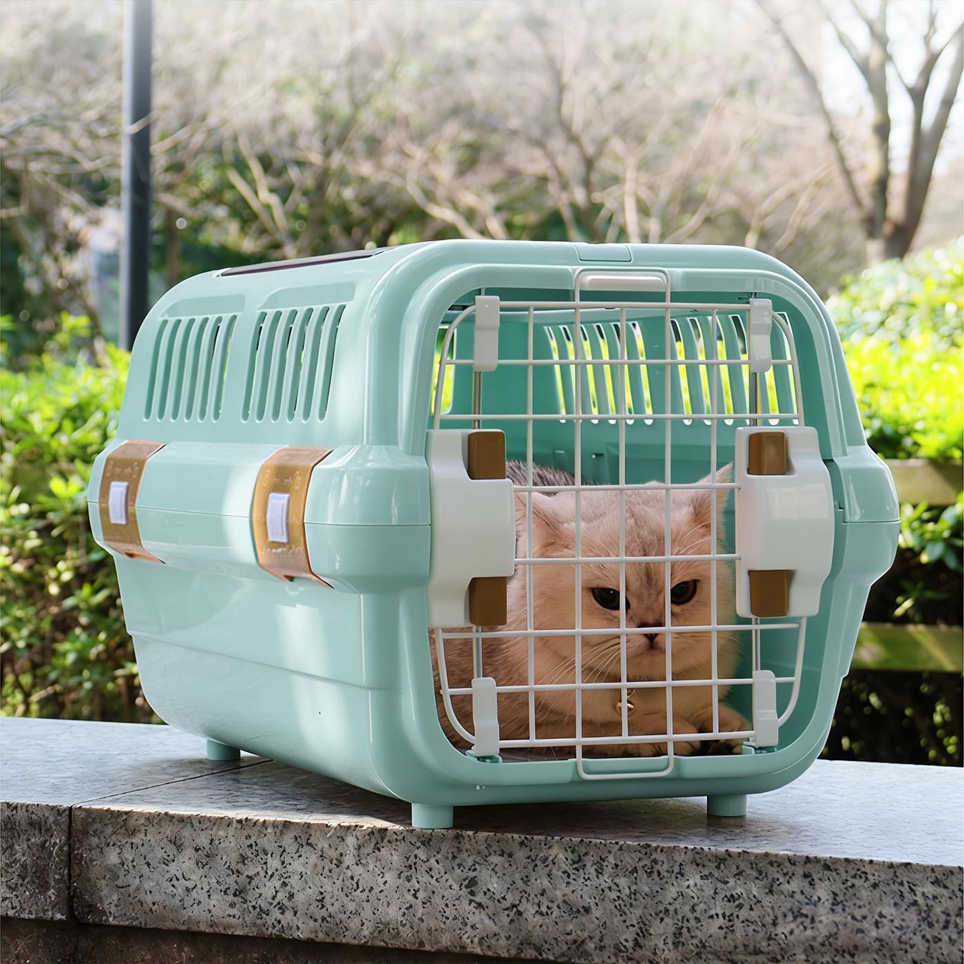Hard Sided Basic Pet Kennel, Two Door Pet Carrier, Top or Front Access, Perfect for Traveling,Hiking,Camping,Veterinary Visits