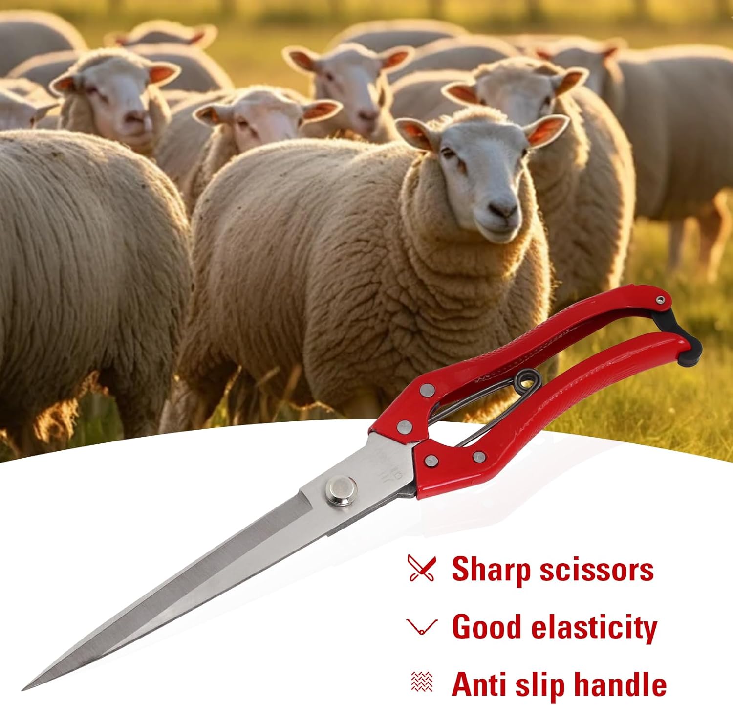 1PCS Multifunctional Stainless Steel Sheep Shears Hand Pruner, Powerful Spring Garden Shears，Wool Shears Manual Cow Wool Scissors Supplies Tool Pet - Image 5