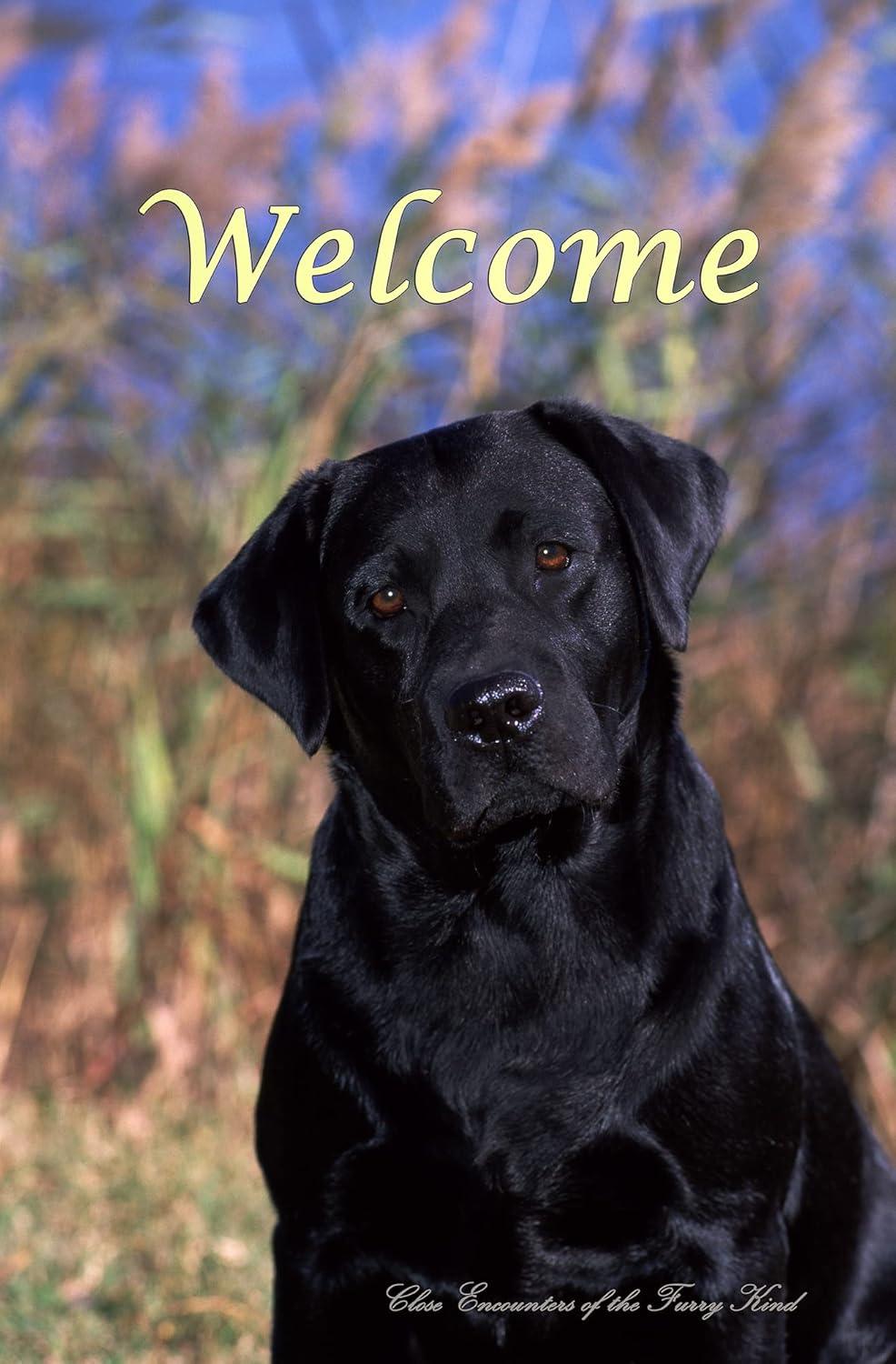 Black Labrador - Best of Breed CEFK Welcome Photo House Flag