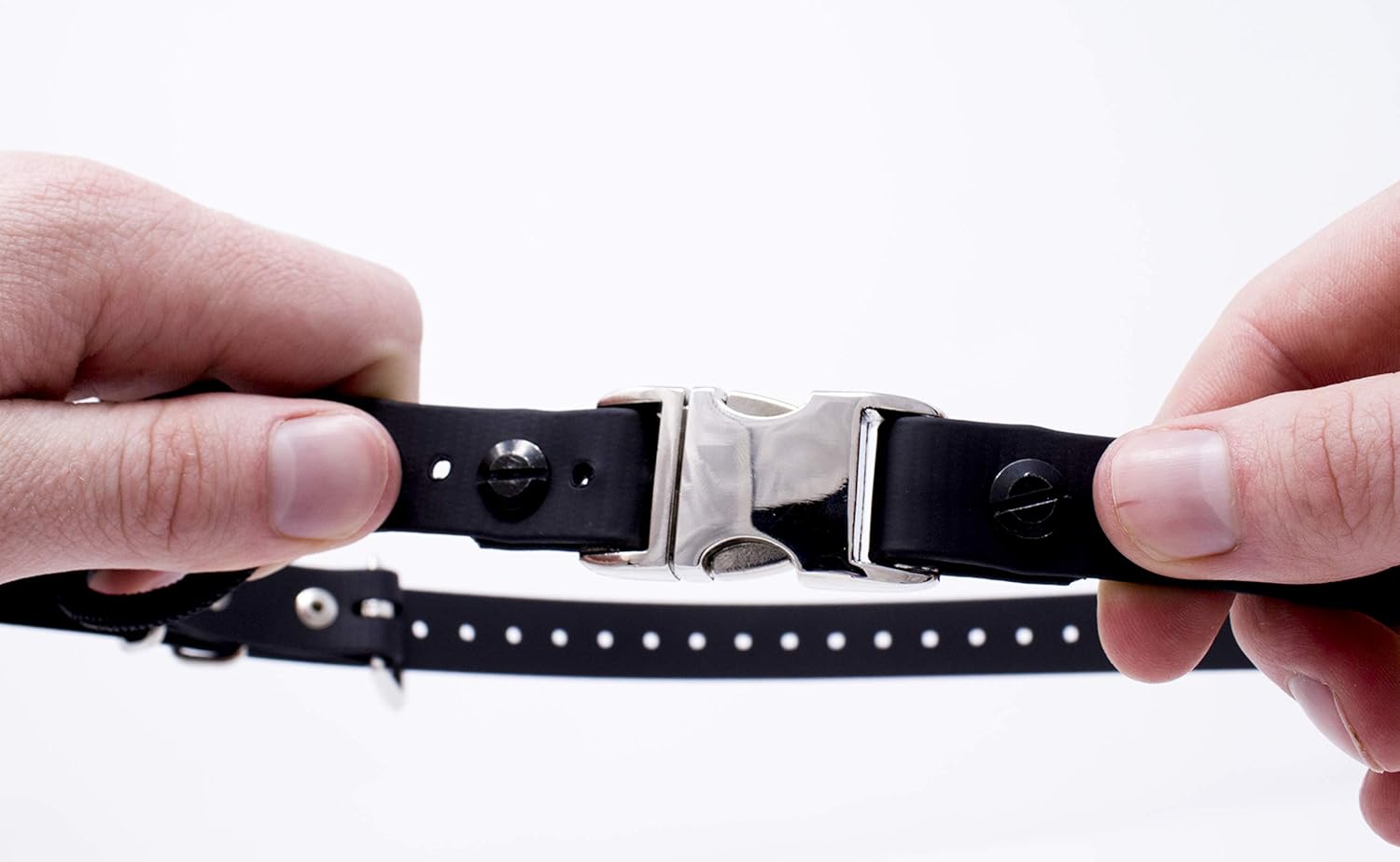 e collar technologies bungee collar