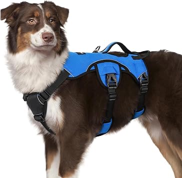 rabbitgoo Escape Proof Dog Harness for Medium, No Pull with Lift Handle
