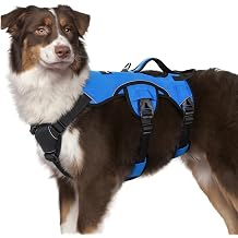 rabbitgoo Escape Proof Dog Harness for Medium, No Pull with Lift Handle