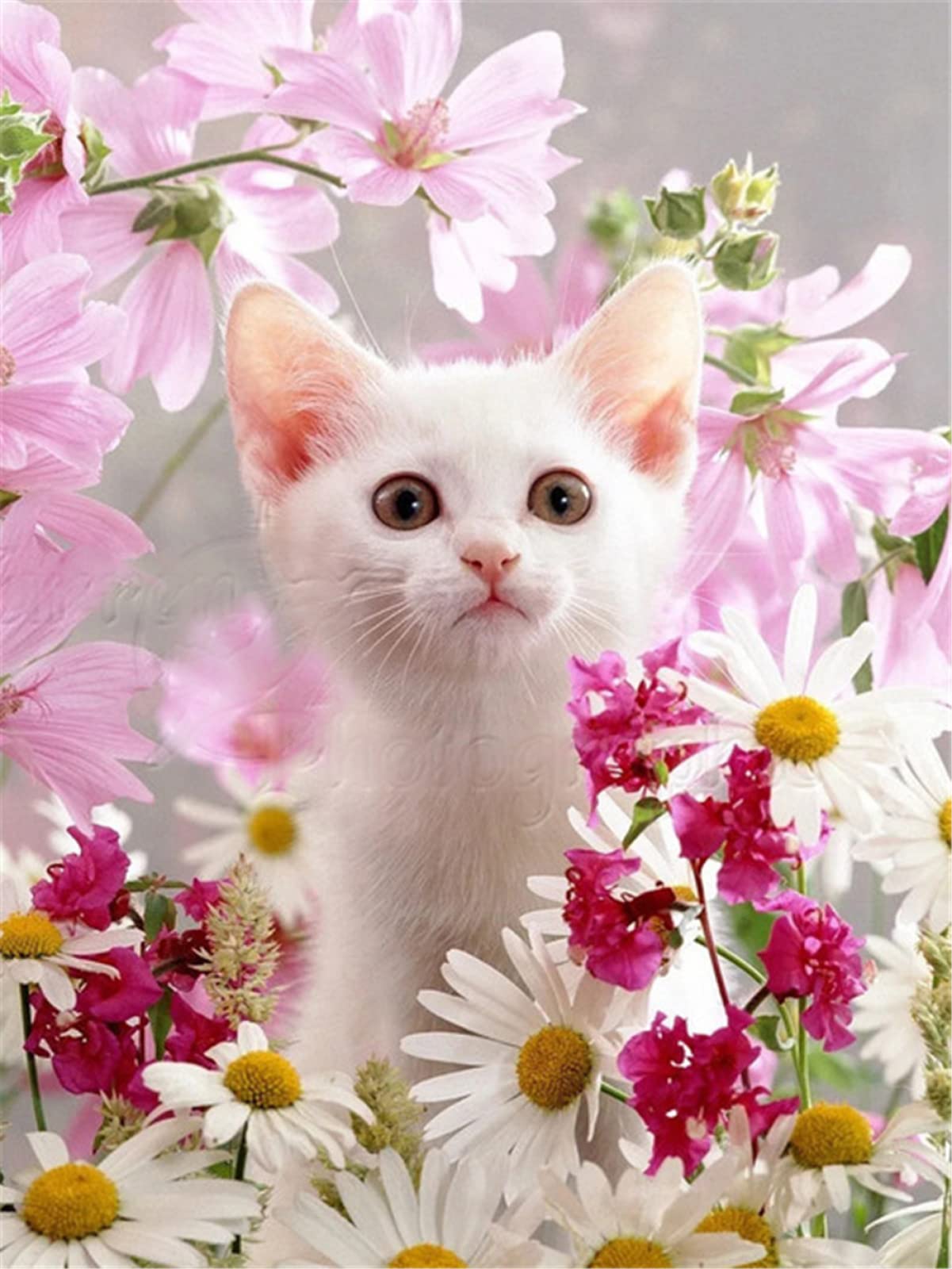 Ginfonr 5D Diamond Painting Complet Chat Rose, Broderie Peinture