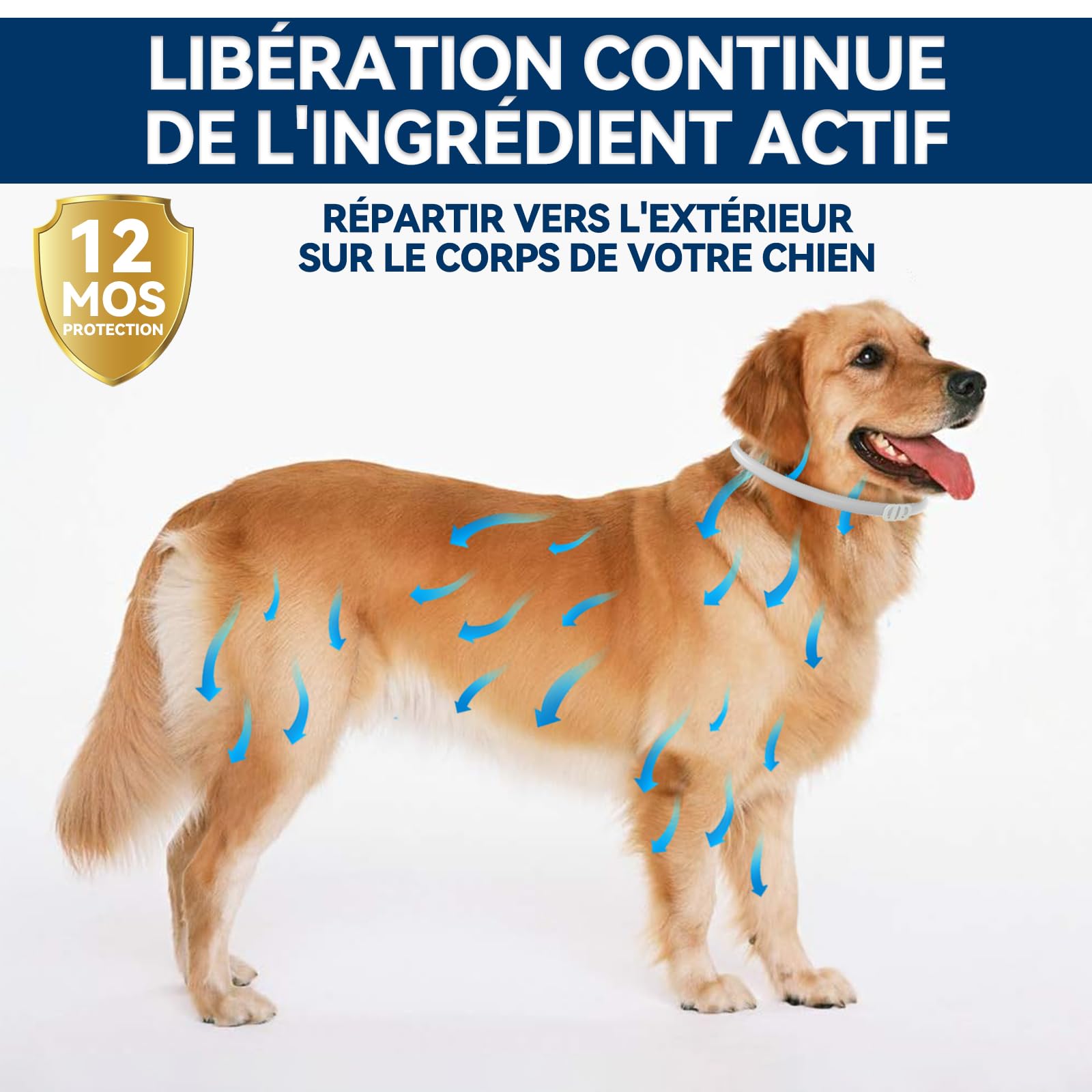 Collier Anti Puces pour Chien Réglable, Élimine Puces, Tiques, Poux, Résistant à l'eau, Huiles Essentielles 100% Naturelles, pour Chiens Grands, Moyens et Petits (63.5CM,2PACK)