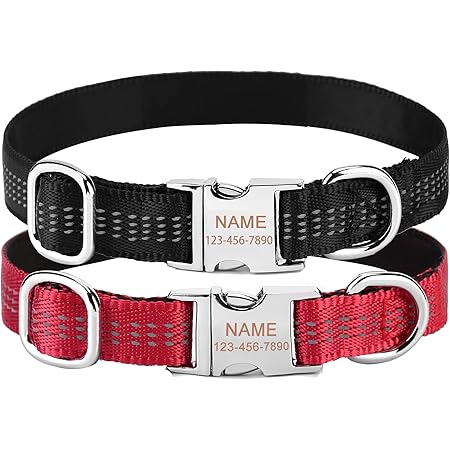 smart buckle dog collar