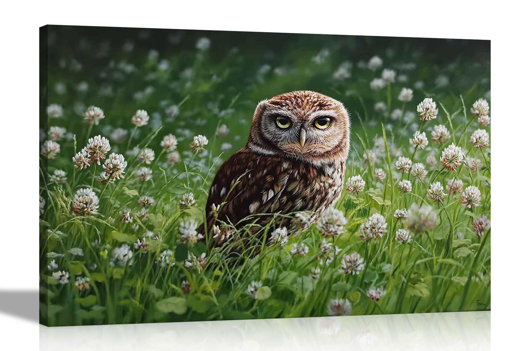 Artley Prints - Daisy Field Owl Framed Canvas Wall Art For Home Office Conservatory Garden Prints Ready to Hang Pictures 30 x 20cm (12 x 8 inches) A4