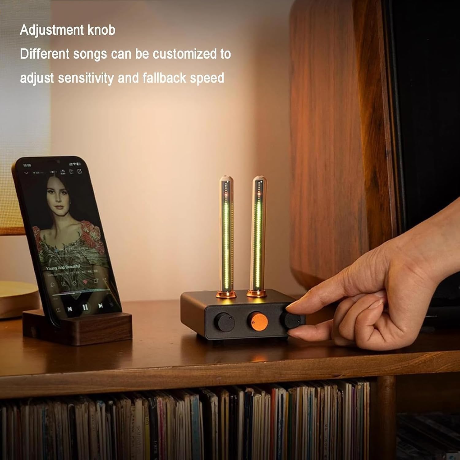 RGB Sound Pickup Spektrum Lampe mit MIC Sprachsteuerung, Vintage Tube Ambient Light, 4 Anzeigemodi, inklusive 2 Leuchtröhren für Studio und Gaming Zimmer