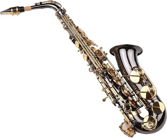 EB E-Flat Alto Saxophone Sax Nickel-Plated Brass Body with Engraving Keys Woodwind Instrument with Carry Case Professional Saxophone