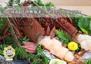 Amazon | 築地魚群 活伊勢海老 イセエビ 1尾 約500gサイズ 国産