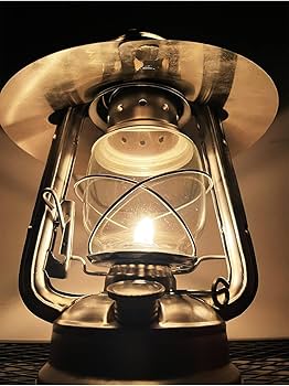 Amazon.co.jp: EnHike ランタンシェード CS オイルランタン（小