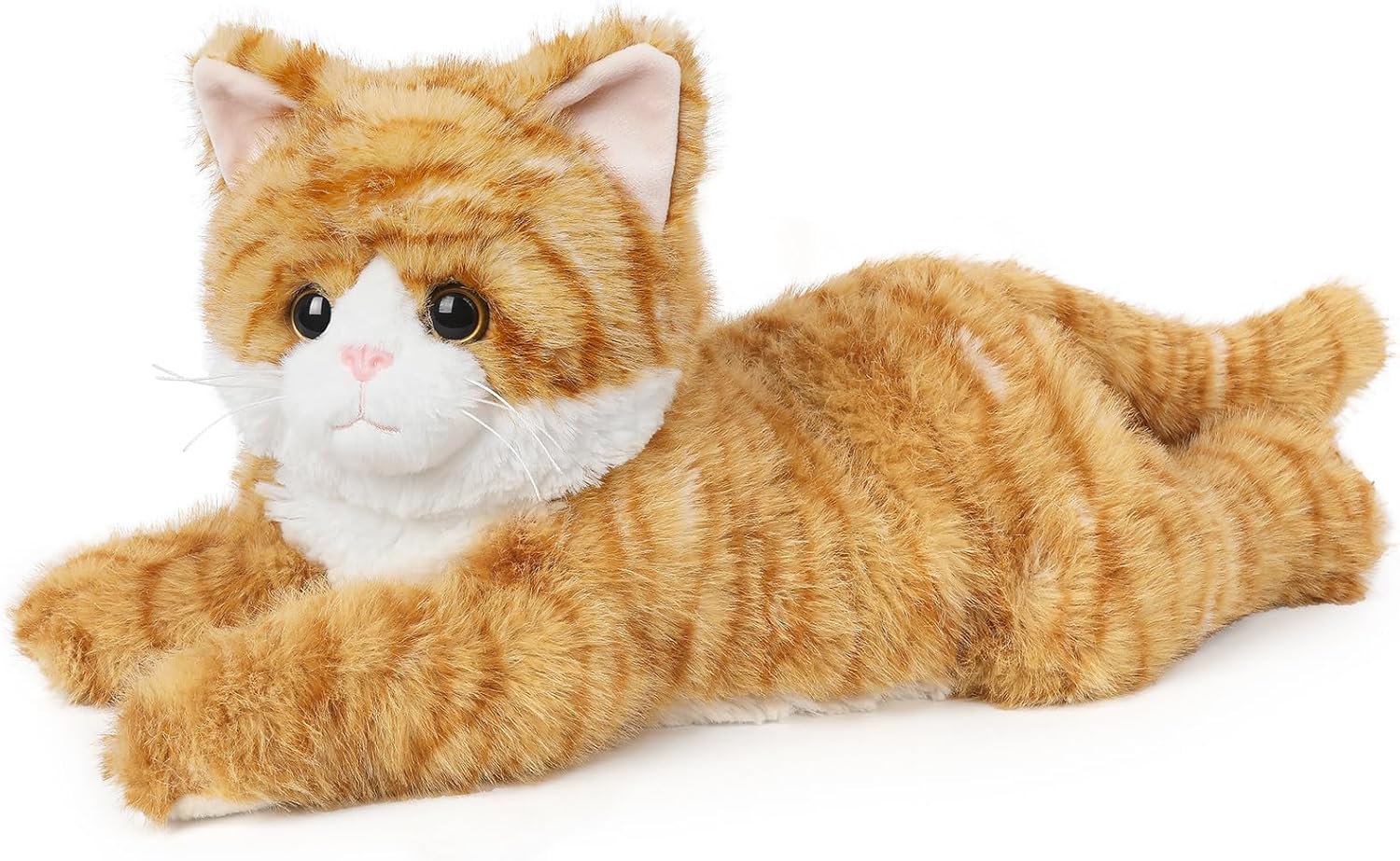 Orange Tabby Cat