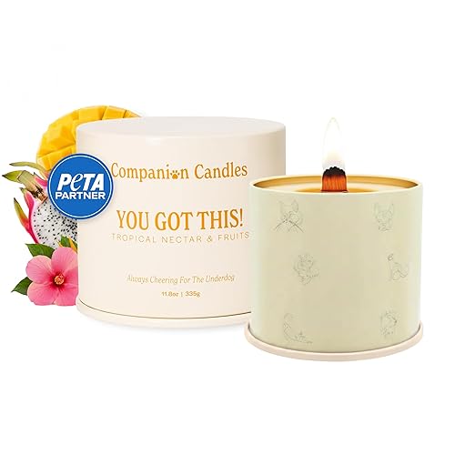 Companion Candles You Got This! Pet-Friendly Scented Candle – Tropical