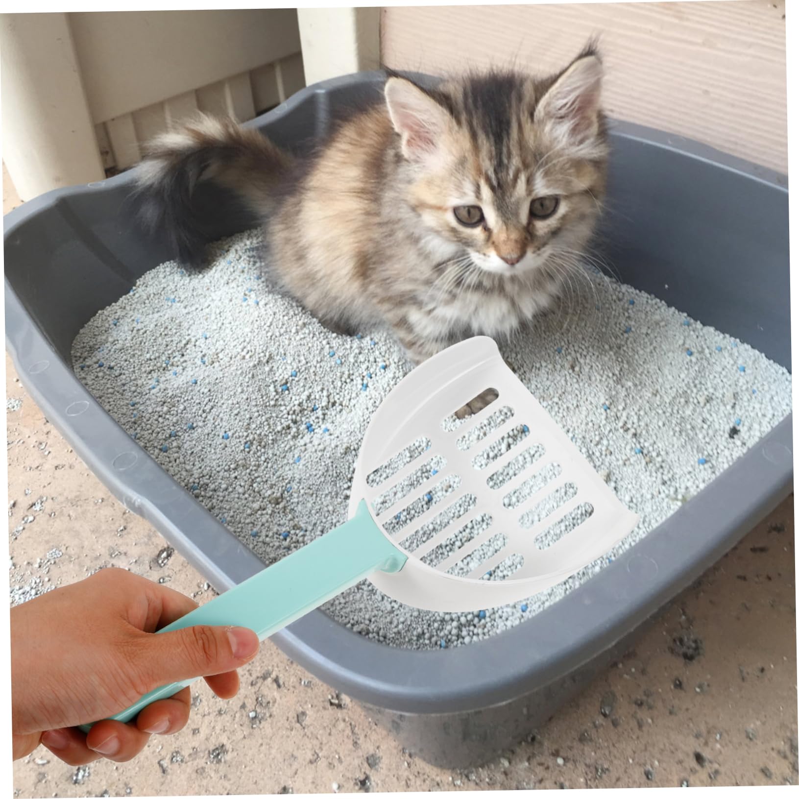 POPETPOP 5 Pz Pala per lettiera per Gatti Paletta per di Gatto Pale per rifiuti Domestici Gatti Pale Profonde Paletta per di Gattino Pala per Gatti Pala per rifiuti plastica ABS